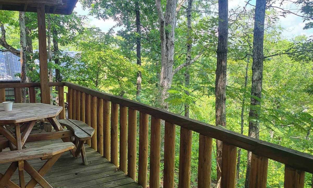 Mammoth Spring Hotel | Riverview Cabins