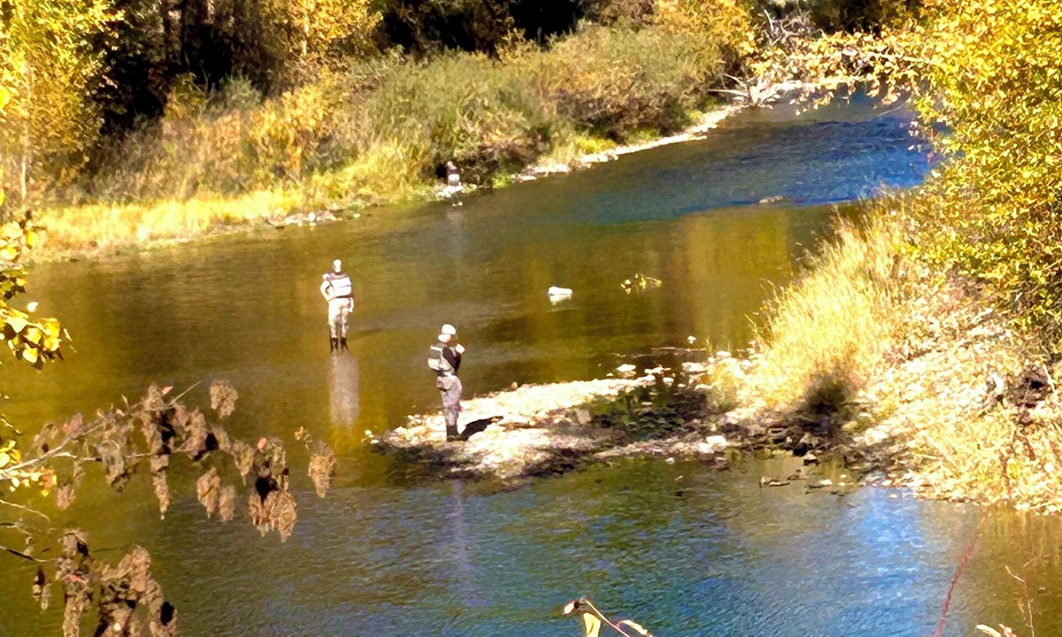 Kingston Condo | Riverview Lodge "Bear's Den" Condominium Cabin #6