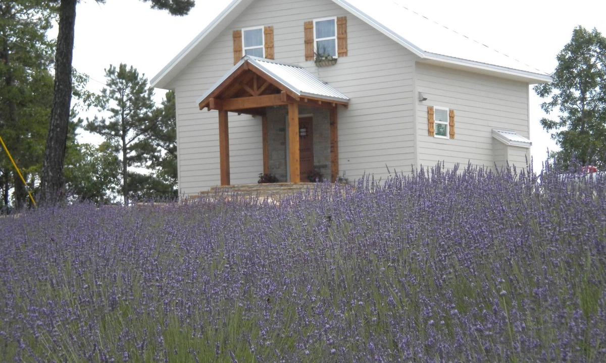 Melbourne Ski Chalet | Roberts Belle Vue (Beautiful View) Chalet