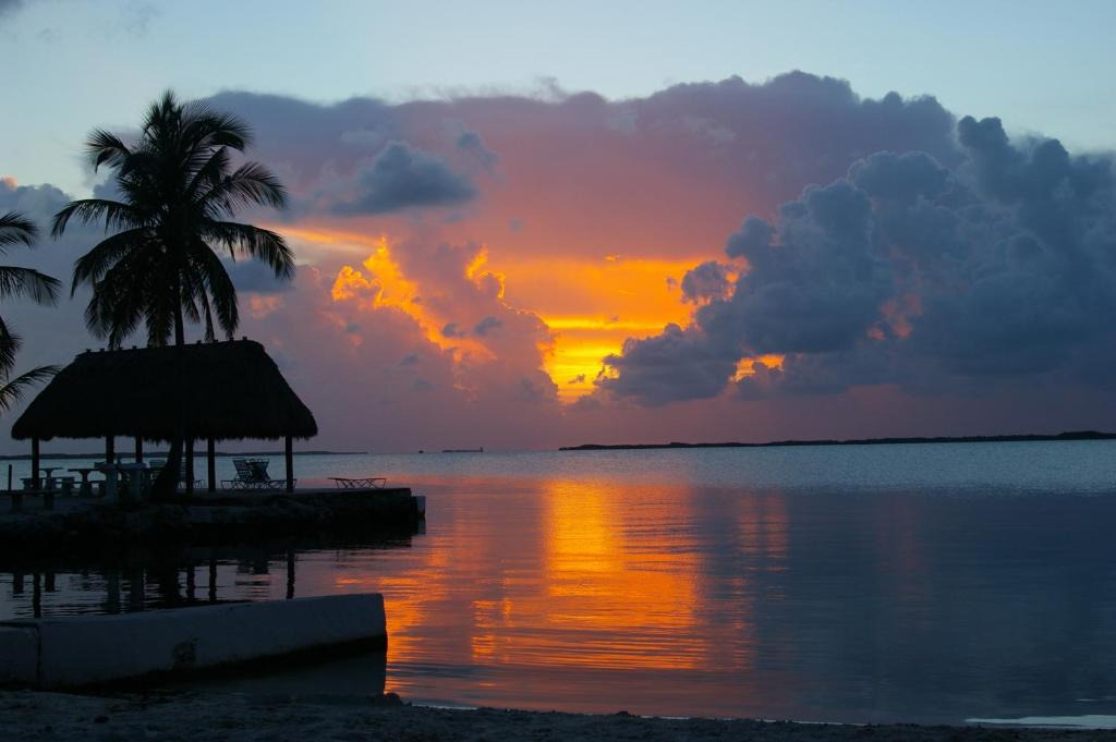 Rock Harbor Hotel | Rock Reef Resort