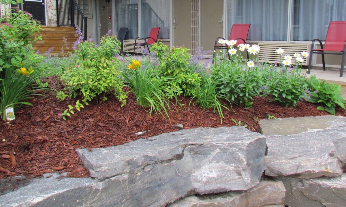 Huntsville Hotel | Rodeway Inn King William
