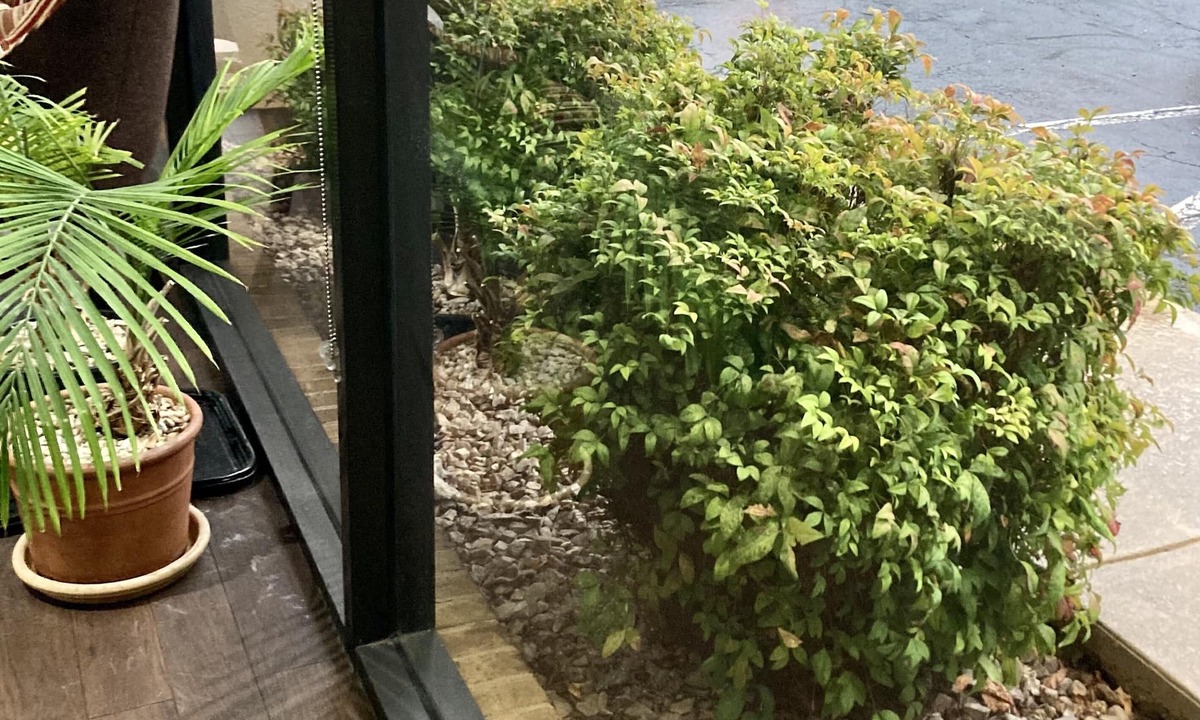 Lynchburg Hotel | Rodeway Inn