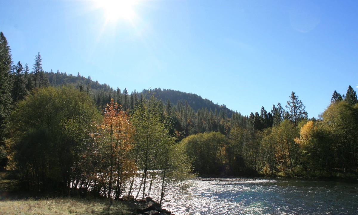 Shady Cove House | Rogue River Escape-19 Forested Acres-600 Ft of Riverfront