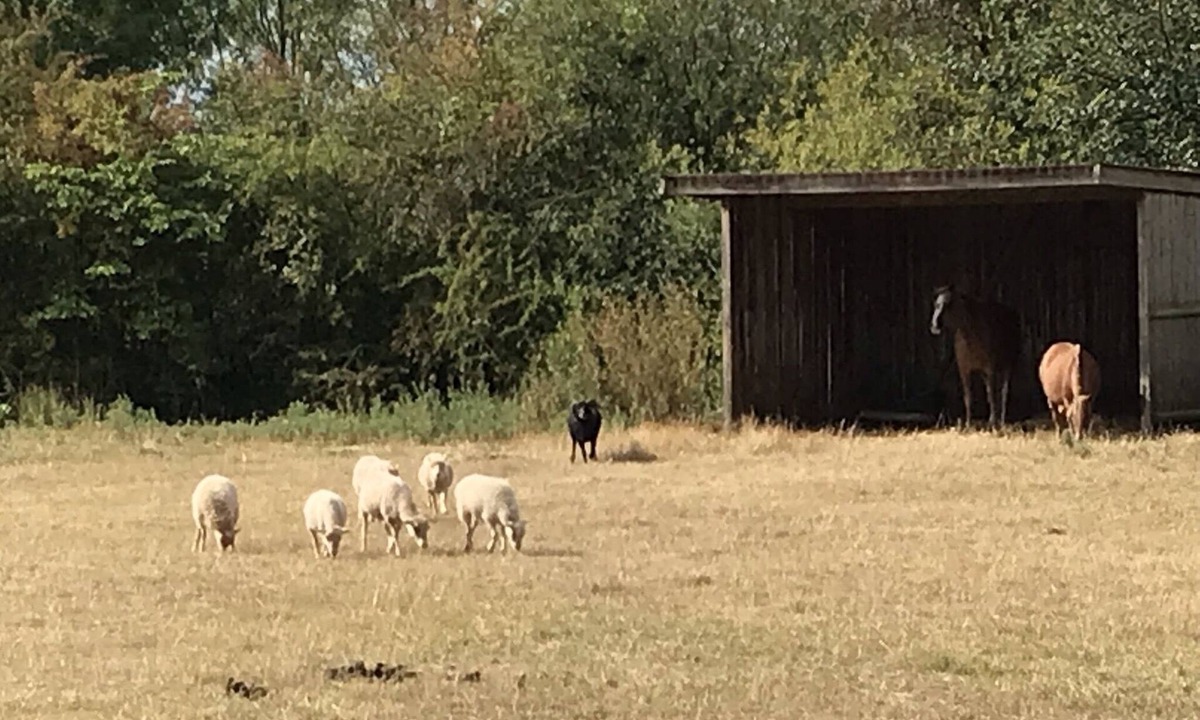 Essay Cottage | Romantic castle in Normandy close to Perche area