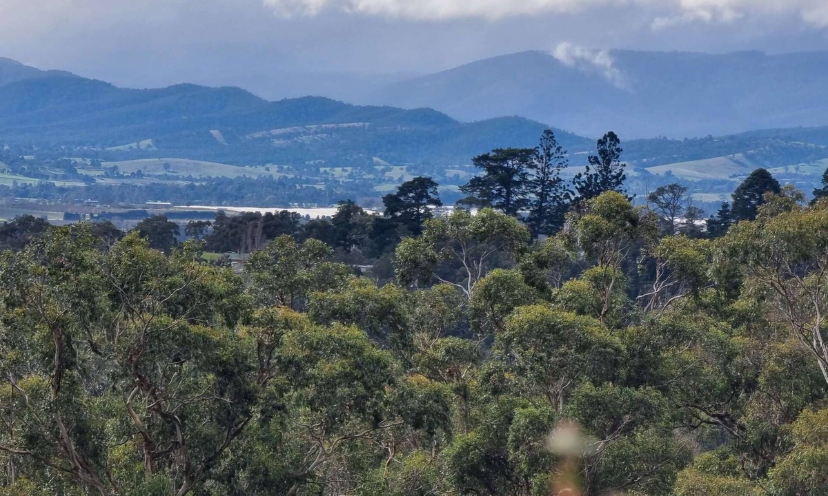 Lilydale Cabin | Romantic Getaway with Amazing Mountain Views