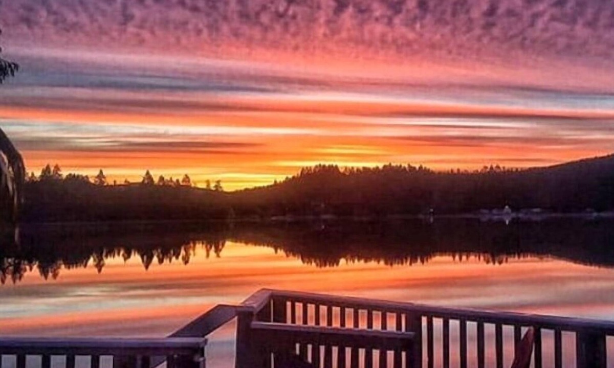 Shelton Cabin | Romantic, pet friendly lakefront cabin!