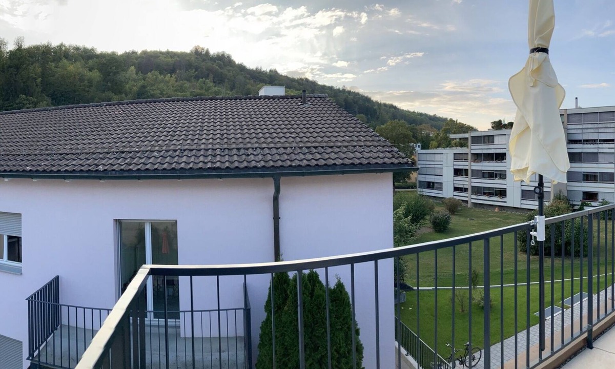Bad Zurzach Apartment | Roof top flat