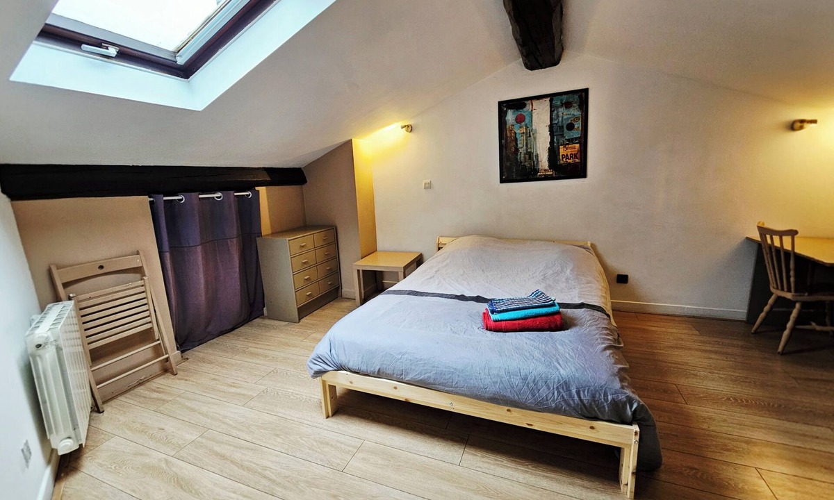 Lyon City Centre Apartment | Room