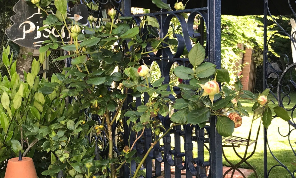 Mauchamps House | Room "Les Poiriers Rouges
