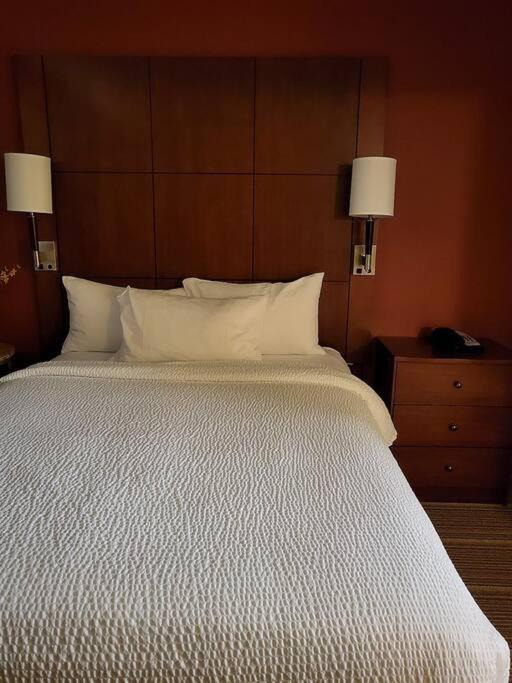 Calgary Apartment | Room to stay