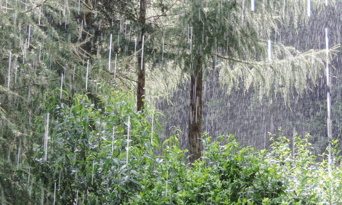 Goldbach-Altenbach Bed & Breakfast | Rooms and guest table mountain