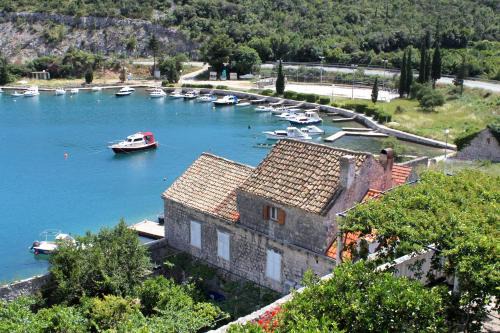 Zaton House | Rooms by the sea Zaton Mali (Dubrovnik) - 8997