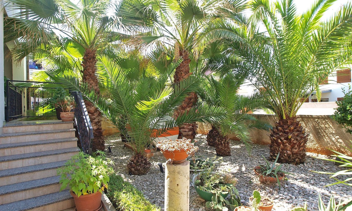 Valbandon Hotel | Rooms Ivica 1452
