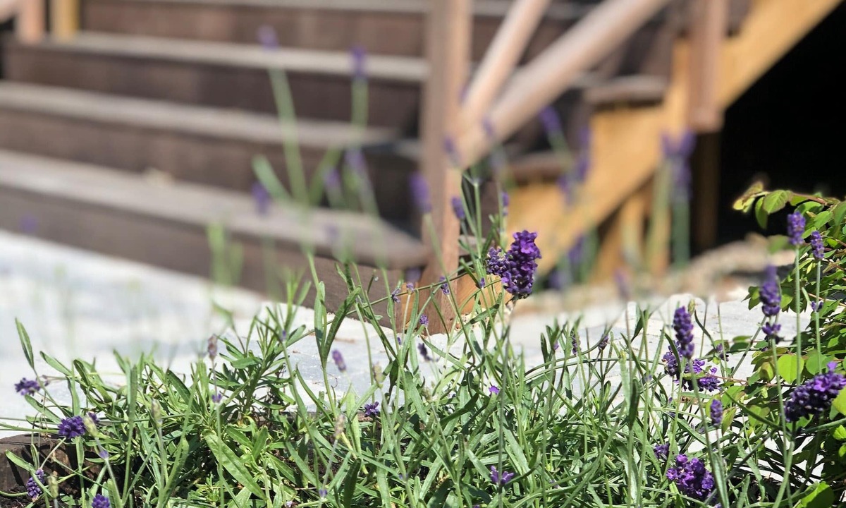 Rrvig Hotel | Rorvig Centret