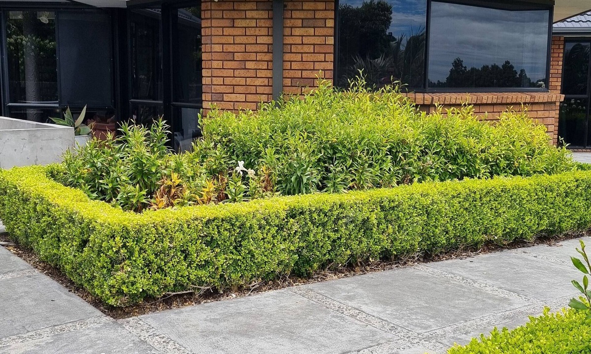 Bell Block Apartment | Rosandra Retreat Studio