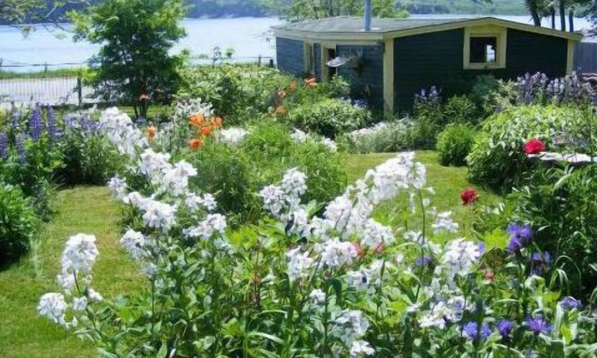 Harbour Grace Bed & Breakfast | Rothesay House Heritage Inn B&B