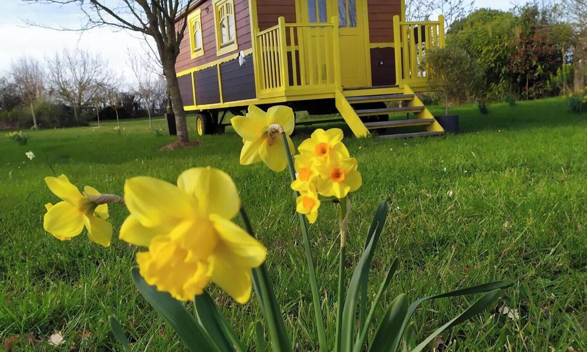 Noyant-la-Plaine Cabin | Roulotte Sous le soleil
