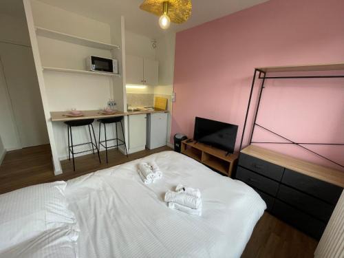 Le Chemin Vert Apartment | Roza, Studio proche centre ville