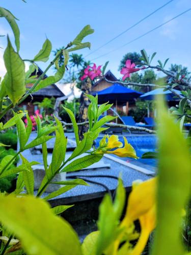 Penida Island Hotel | RR Cottage