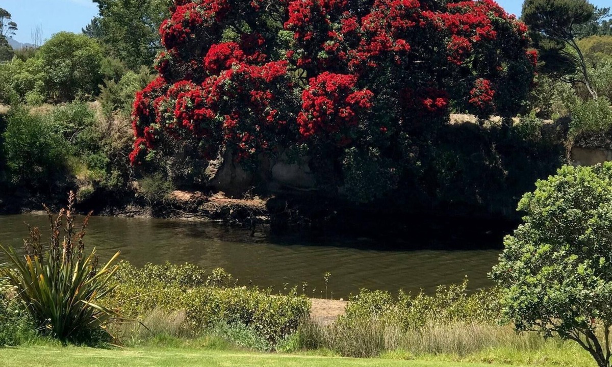 Ruakaka Apartment | Ruakaka River and Beach Apartment