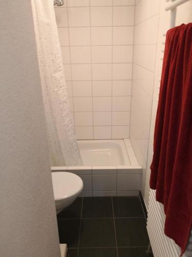 Allschwil Apartment | Ruhige Wohnung zum Wohlfühlen Song Contest Room Basel