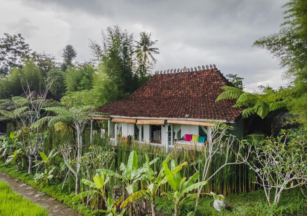 Cangkringan Hotel | Rumah Jembarati
