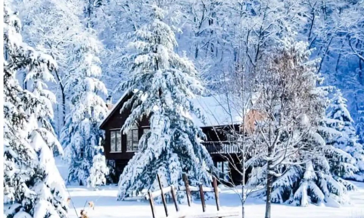 Decorah House | Rustic Acres Cabin & Springs