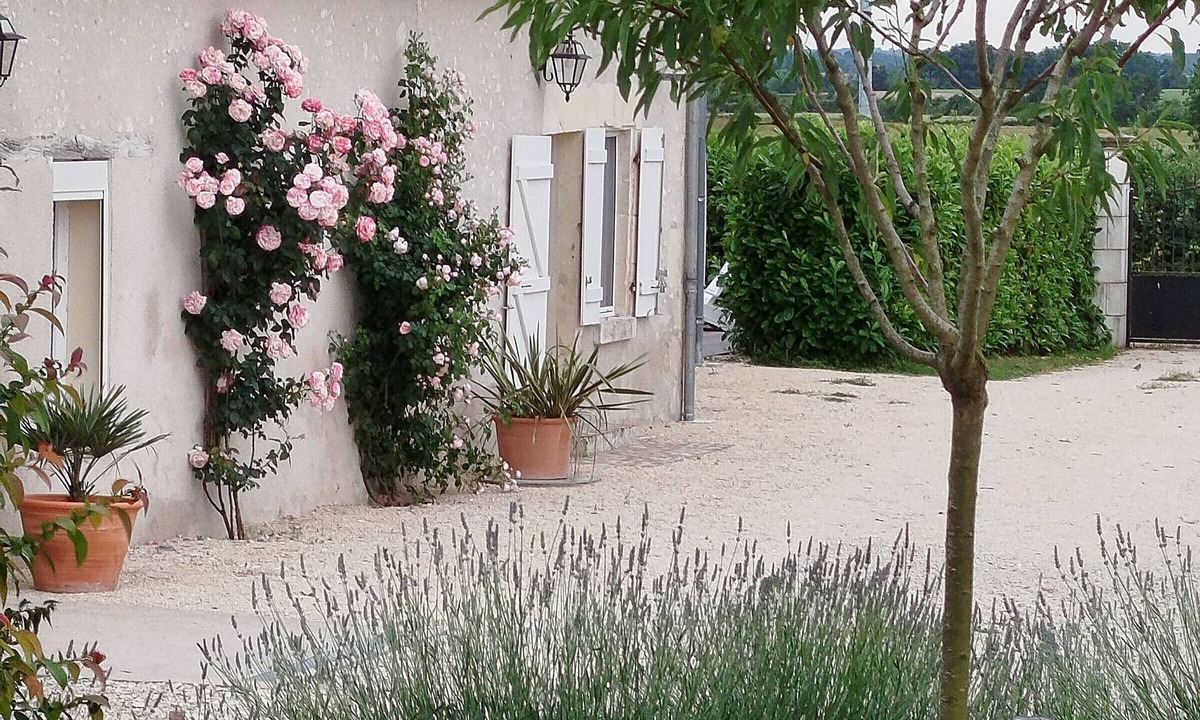 Paulnay Cottage | Rustic Cottage in Berry with Terrace and Horse Friendly