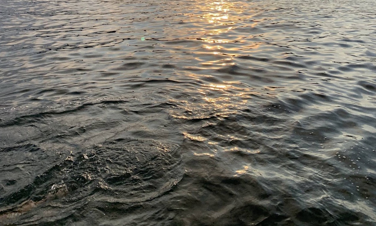 Harveys Lake Cottage | Rustic Cottage W/kayaking, Lake and Boating