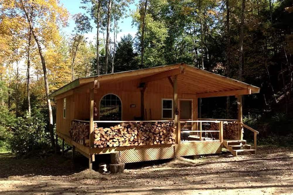 Dalton House | Rustic Creekside Cabin on 100-Acre Forest near Letchworth Park, New York