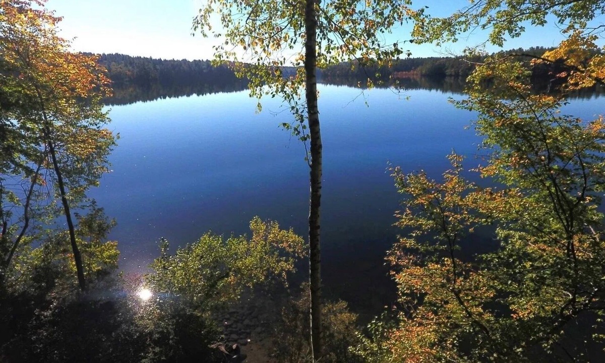 Center Harbor Cabin | Rustic Lakefront Retreat: Private Lake Access and Boat Dock