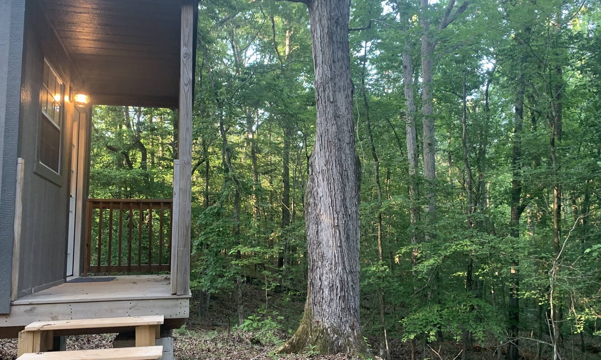 Lexington Cabin | Rustic Primitive Cabin near Athens GA!