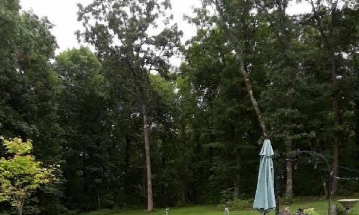 Warrensburg Apartment | Rustic Suite Between Warrensburg and Knob Noster