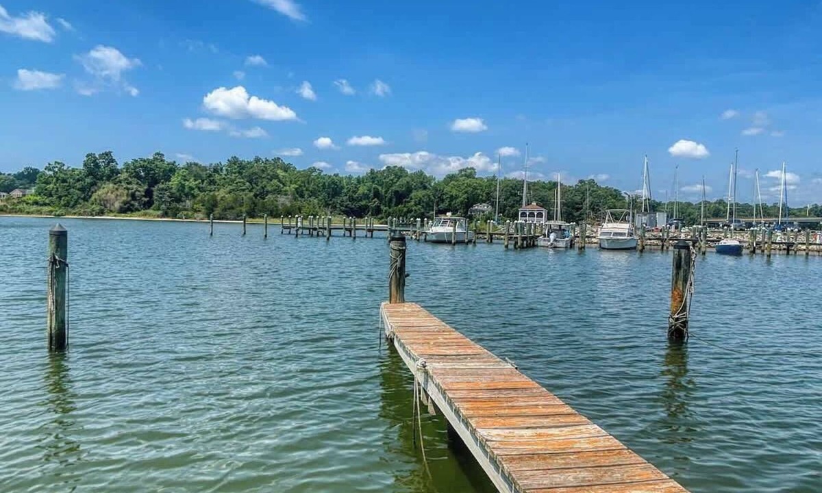 Lexington Park House | Rustic Waterfront 5BD Home with Dock in Maryland
