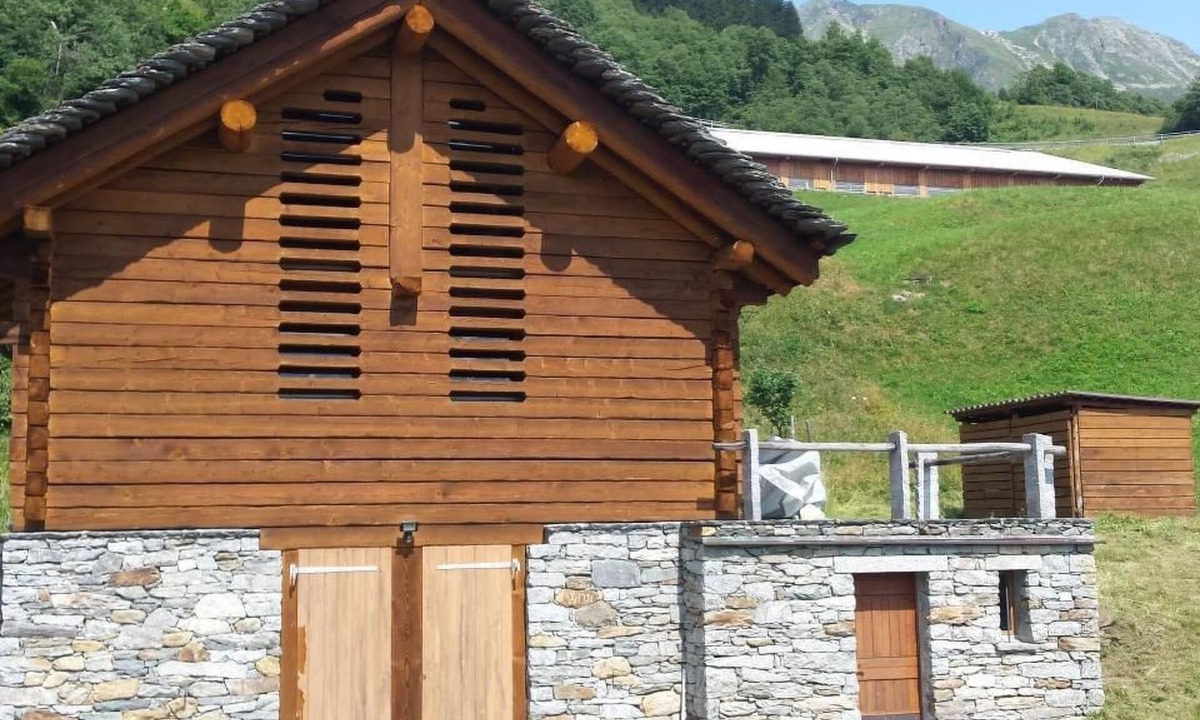Faido House | Rustico Valgrazia by Interhome