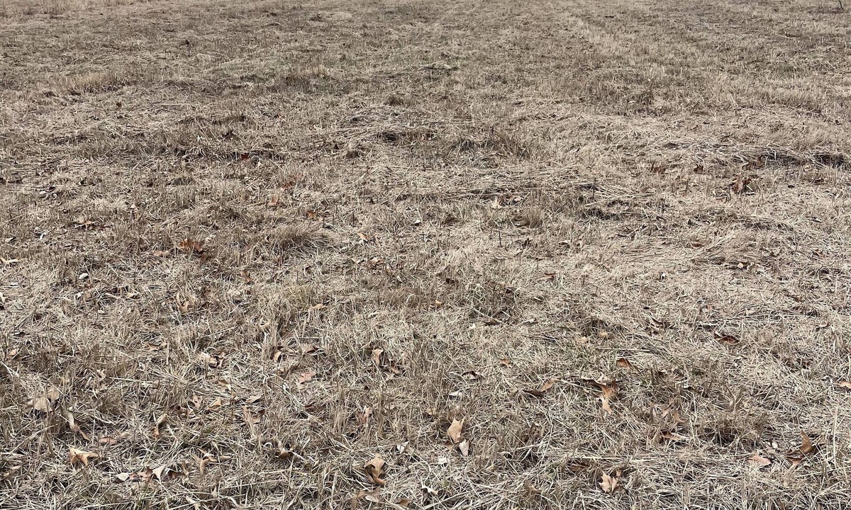 Fairdealing RV Rental | RV/Camper Parking