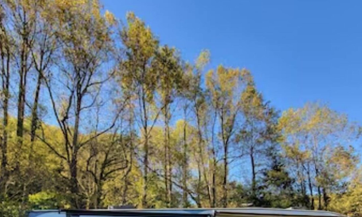 Suches House | RV - in the mountains