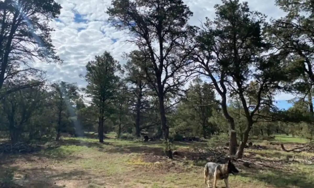 Quemado RV Rental | RV Mountain Getawaynn