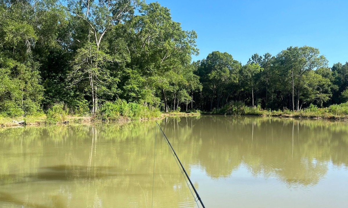 Montgomery County House | RV on a Private Lake