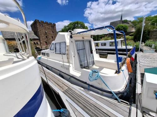 Chenille-Change Boat Rental | Séjour Unique à Bord d'un Bateau à Chenillé-Changé - Jusqu'à 5 Pers. - API-1-46-23