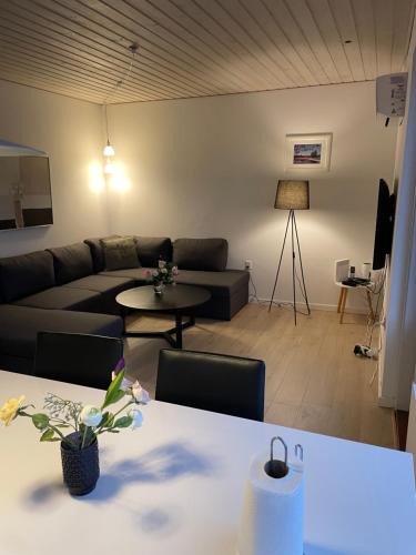 Viborg Apartment | Søhusets anneks2