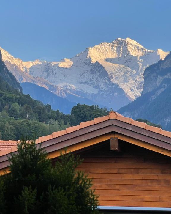 Wilderswil Apartment | S&P Mountain View Apartment 2