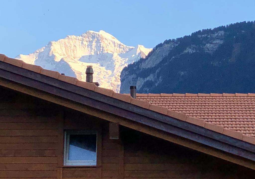 Wilderswil Apartment | S&P Mountain View Apartment 1