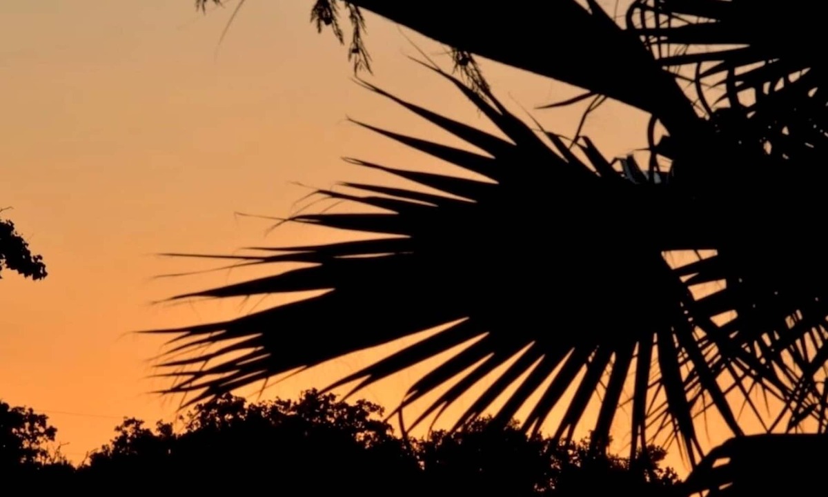 Vance Jackson Apartment | SA STUDIO Private Entry