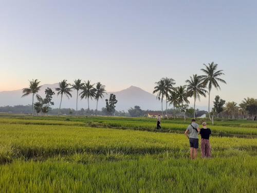 Kecamatan Sikur House | Sabirin Asri Homestay