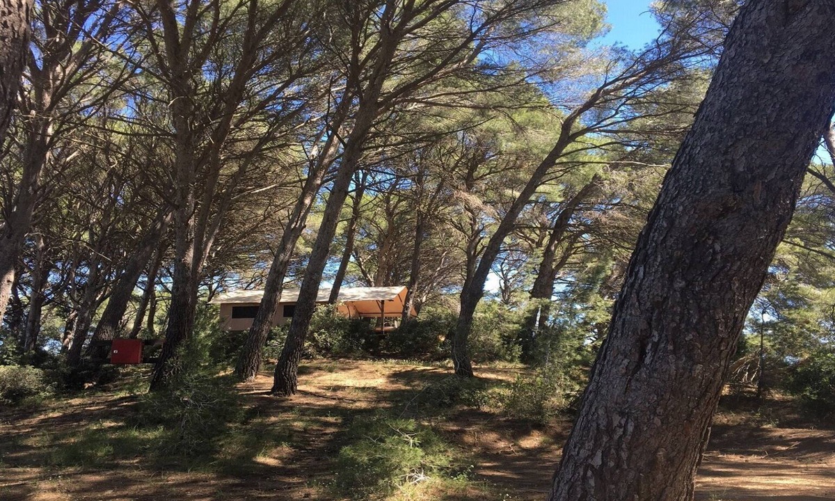 Meze Ski Chalet | Safari Tent for 4 persons