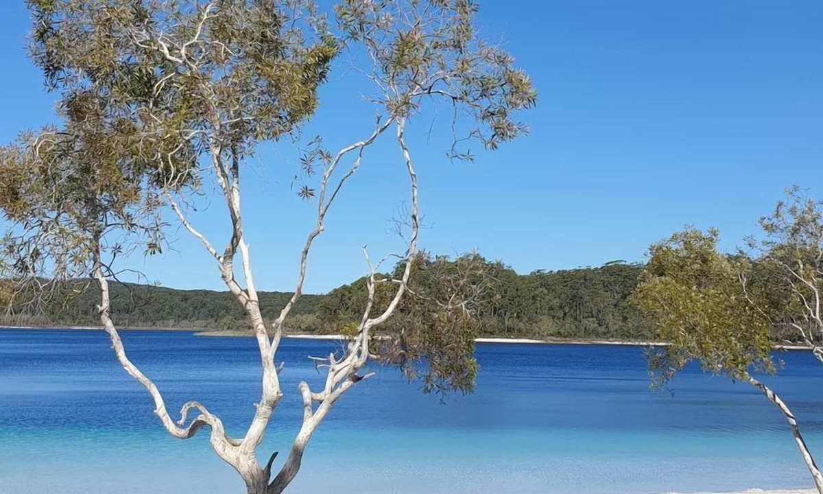 Happy Valley Apartment | Sailfish on Fraser