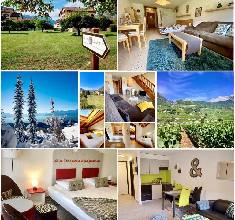 Saillon Apartment | Saillon Evasion Sarl