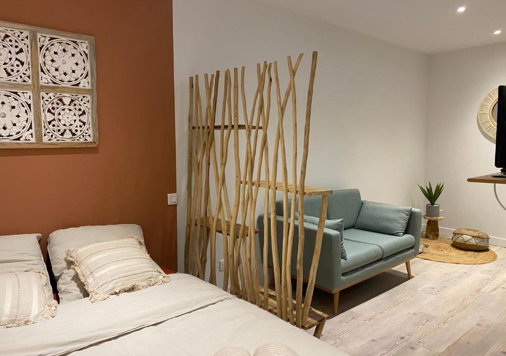 Saint-Roch - Badouillere - Chavanelle Apartment | Saint Étienne, studio cosy