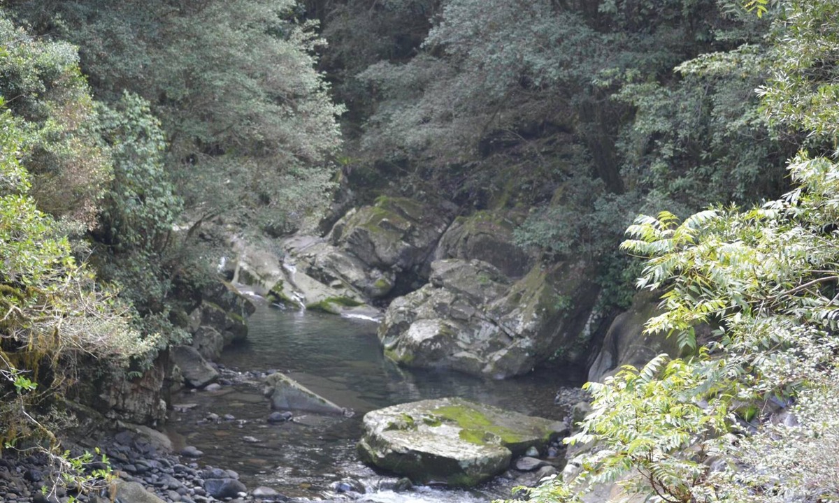 Salisbury Cabin | Salisbury Lodges